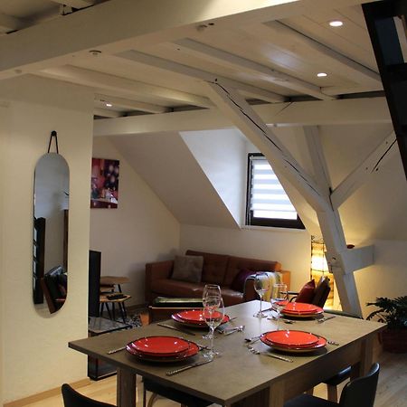 Charmant Duplex Privatise, Climatise, 2 Chambres ストラスブール エクステリア 写真