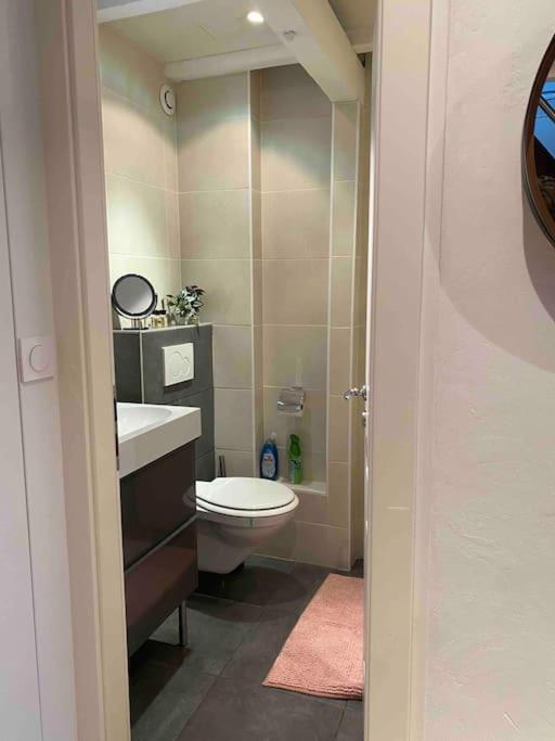Charmant Duplex Privatise, Climatise, 2 Chambres ストラスブール エクステリア 写真