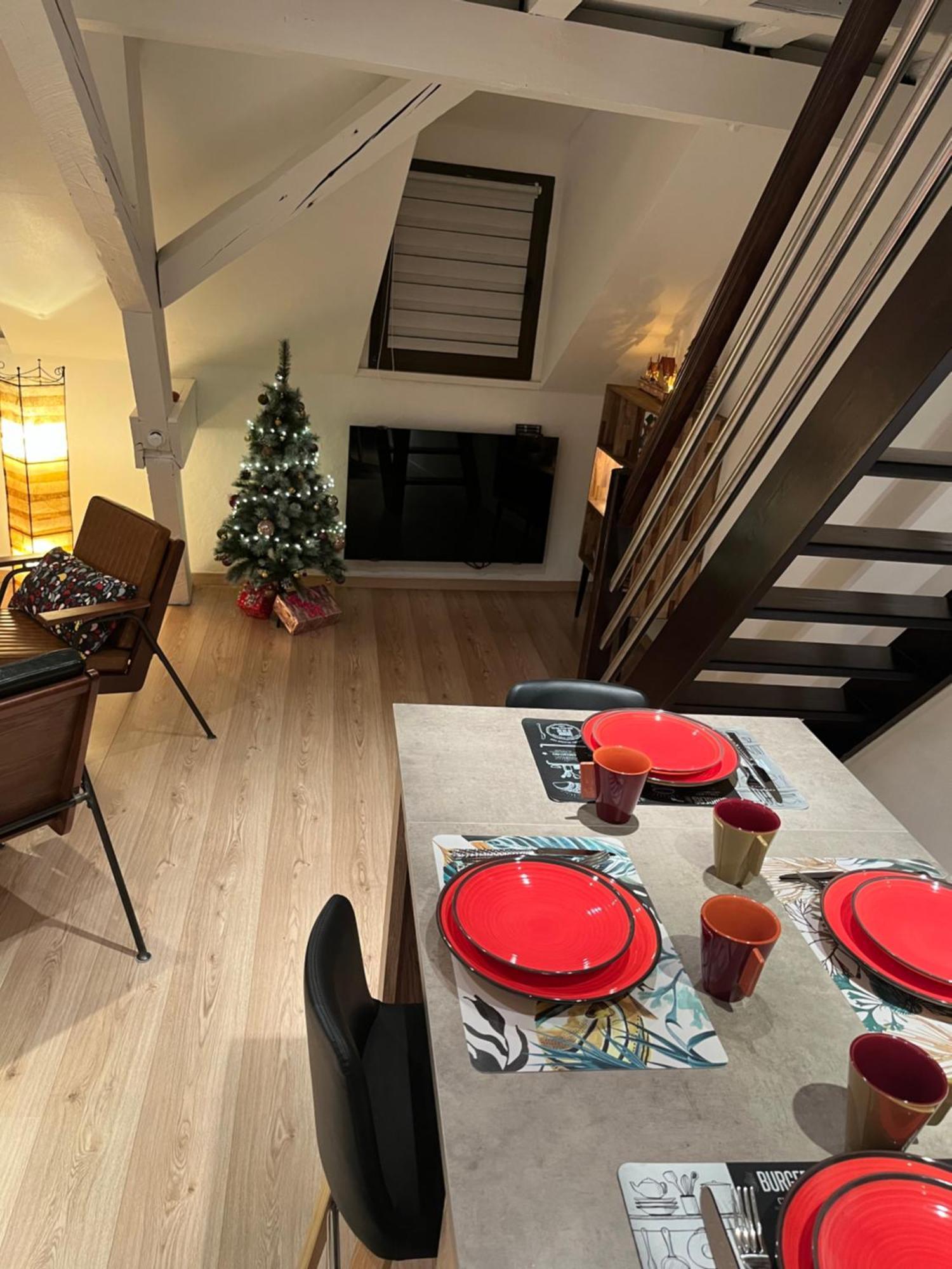 Charmant Duplex Privatise, Climatise, 2 Chambres ストラスブール エクステリア 写真