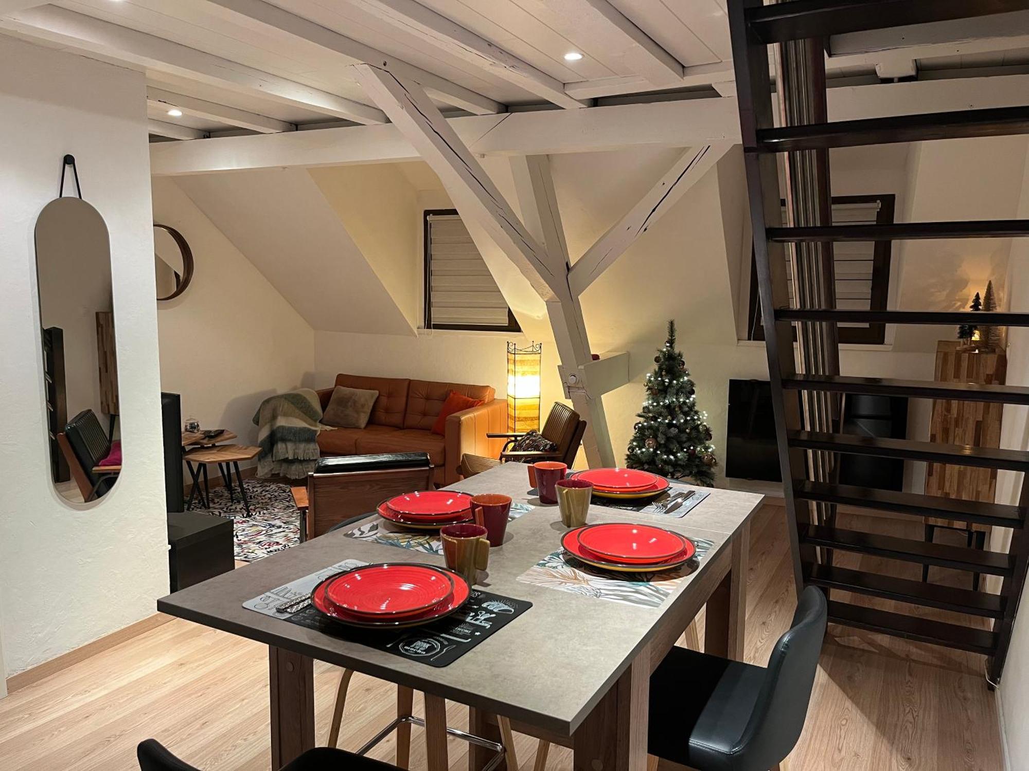 Charmant Duplex Privatise, Climatise, 2 Chambres ストラスブール エクステリア 写真