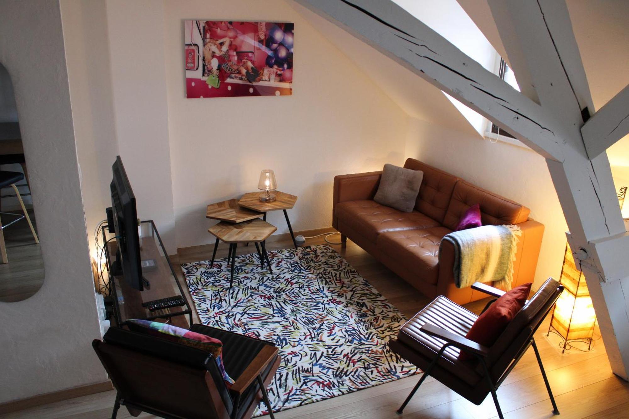 Charmant Duplex Privatise, Climatise, 2 Chambres ストラスブール エクステリア 写真