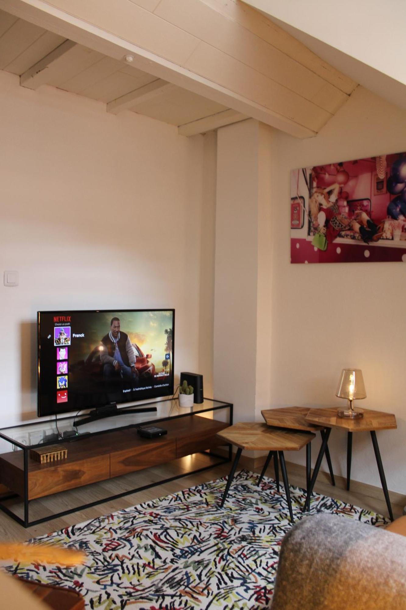 Charmant Duplex Privatise, Climatise, 2 Chambres ストラスブール エクステリア 写真