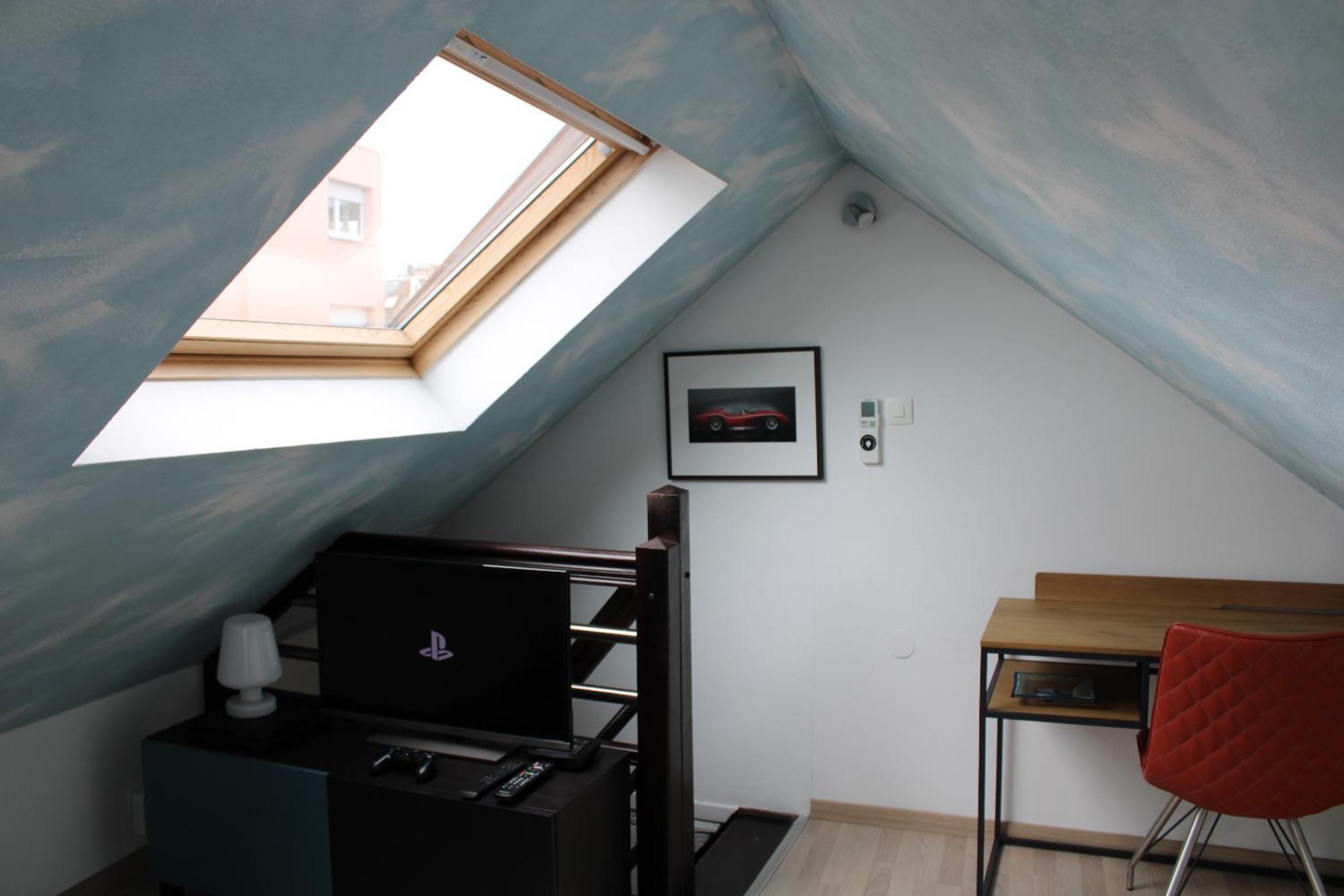 Charmant Duplex Privatise, Climatise, 2 Chambres ストラスブール エクステリア 写真