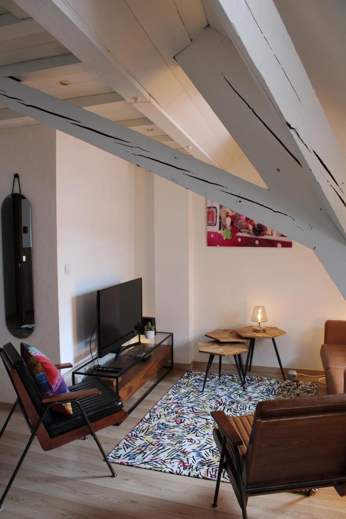 Charmant Duplex Privatise, Climatise, 2 Chambres ストラスブール エクステリア 写真