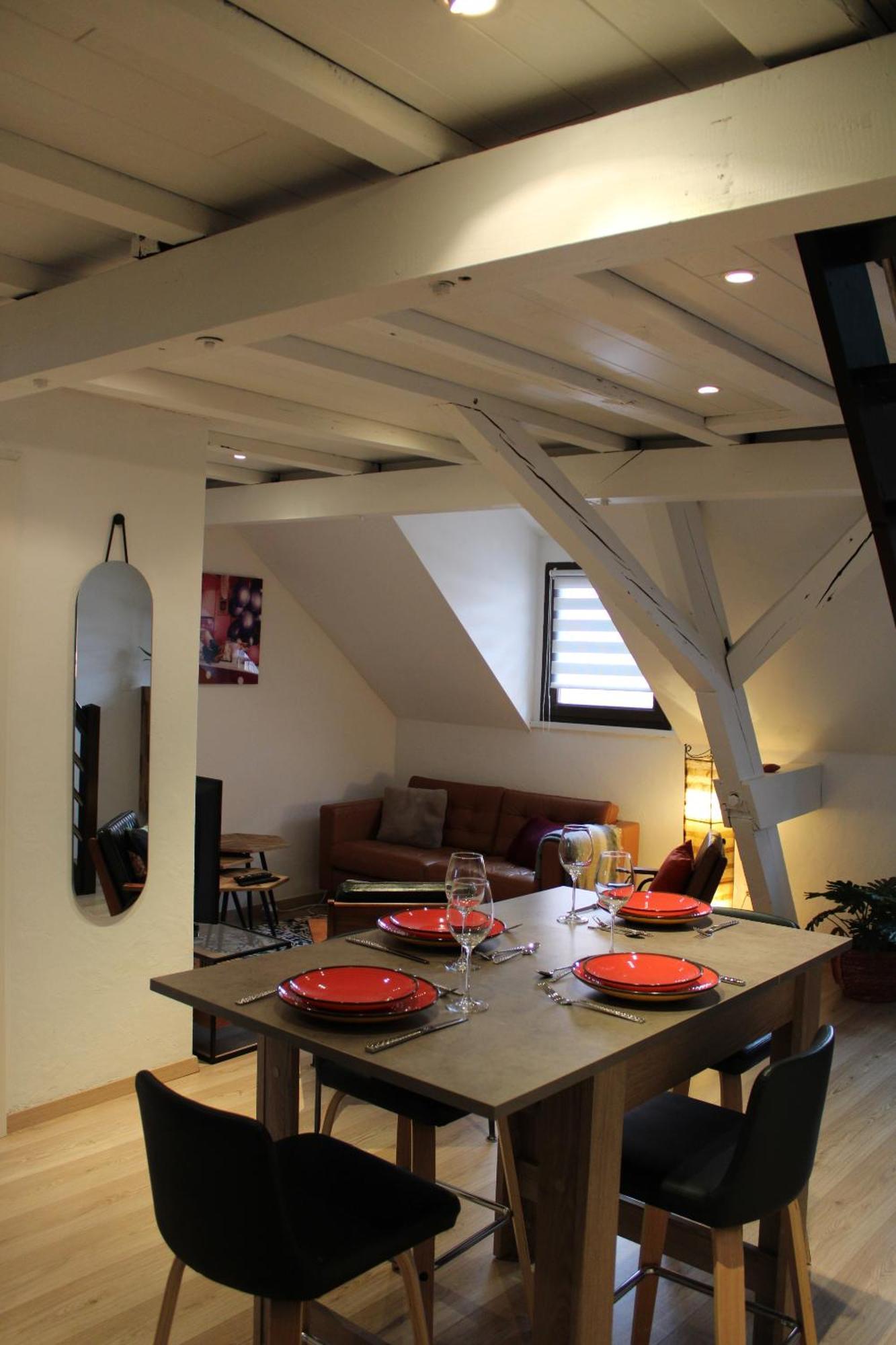 Charmant Duplex Privatise, Climatise, 2 Chambres ストラスブール エクステリア 写真